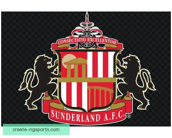 桑德兰足球俱乐部的辉煌历程与重返英超之路探索